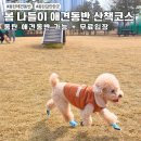 동탄2 제3호 체육공원 농구장 | 동탄 봄나들이 강아지 산책 하기 좋은 여울공원,탄요유적공원