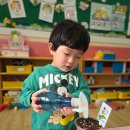 토마토어린이집 | 아이와 씨앗 심기 놀이 후기 ㅣ 방울토마토, 강낭콩, 상추까지 우리집 텃밭만들기