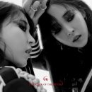 PUPPY POP 이미지