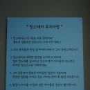 멍스데이 이미지