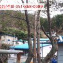 연제구-176 이미지