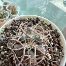 광림농장 이미지