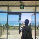 망상비치호텔 이미지