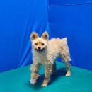 남산평기리 이미지