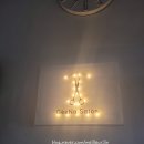 메이에르진 이미지