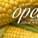 송송마켓 - 14804 | 송송마켓