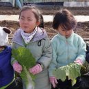 다연이네 이미지