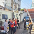 유니베라침산대리점