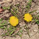 서전주유치원 이미지