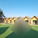 요기요기 | 경북 경산 고기요기 내돈내산 후기