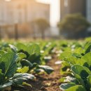 경용농장 이미지