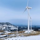 그린제일목장 이미지