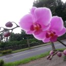 신혁농장 이미지