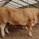 덕현농장 이미지