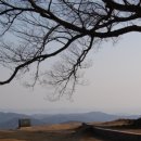 장암초등학교 이미지