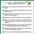 뽀또스튜디오