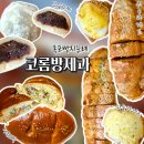 떡까지 맛집 목포 코롬방제과점 빵 종류 전국5대빵집 추천하는 빵은