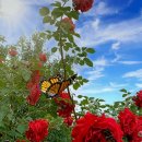 덕포시장길 이미지