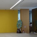 서린빌딩 이미지