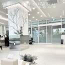 스마트하우스K | 인천 용현동 미용실 살롱더라이징 인천용현점 가격 위치