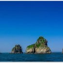 황제 행정사사무소 이미지