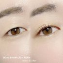 보미브로우