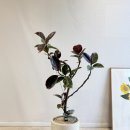길배달 | 수원 개업화분 배달 후기｜호매실 피규어 소품샵과 어울리는 루비 수채화 고무나무