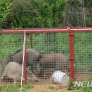 도봉농장 이미지