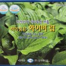 (주)정우메디칼 - 남구 | (주)정우메디칼