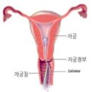 동탄서울내과의원 네이버블로그