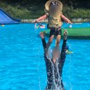 숲 태권도장 | 수영장만 두 개?! 짚라인까지 있는 홍천 예담숲 캠핑장 솔직 후기-야외수영장 온수수영장 캠핑