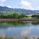 누리파크 캠핑장 이미지