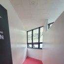 국가대표 바른 태권도장 이미지