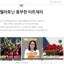 불면증에 좋다는 타트체리 농축원액(100%) 이미지