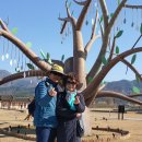 정촌가요특구 이미지