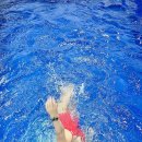 덕영대로2077번길 | [용인 수원 임산부 수영 레슨]개인 강습 전문 실내 수영장