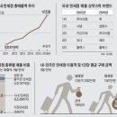 올 매출 12兆 국내 면세점.. &#39;유커 편중&#39;은 개선해야 이미지