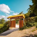 처럼풀빌라 하와이처럼 이미지