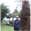 인도네시아 일상 13 - 찌보다스 산행 (Cibodas) 이미지