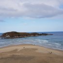 행복행정사 이미지