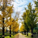 켄싱턴평창 | 그랜드 켄싱턴 평창 호텔 체험객실 투숙 솔직후기