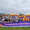 소나무향기 이미지