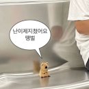 UR(경산시)-[삼성현로]-하-44 | 여름이 싫어지려고 해 ••