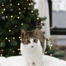 백제동물병원 이미지