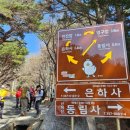 머슬큐어 이미지