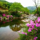 해야해야 - 창원시 마산합포구 | 해야해야