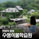 [옥천 데이트 코스로 가볼만한곳] 예약 필수! 대청호 뷰 맛집, 천상의 정원 수생식물학습원