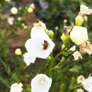 신산5리마을회관 이미지