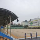 월평초등학교 이미지