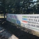 빛가람 유아숲체험원 이미지